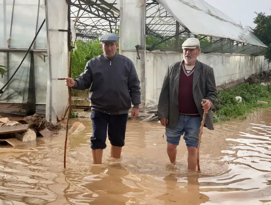 1500 Dönüm Tarım Alanı Zarar Gördü! Çiftçi: 'Ben Bittim Artık' 5